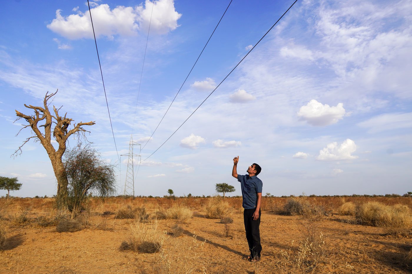 Radheshyam pointing at the high tension wires near Dholiya that caused the death of a GIB in 2019. Photo: Urja/PARI