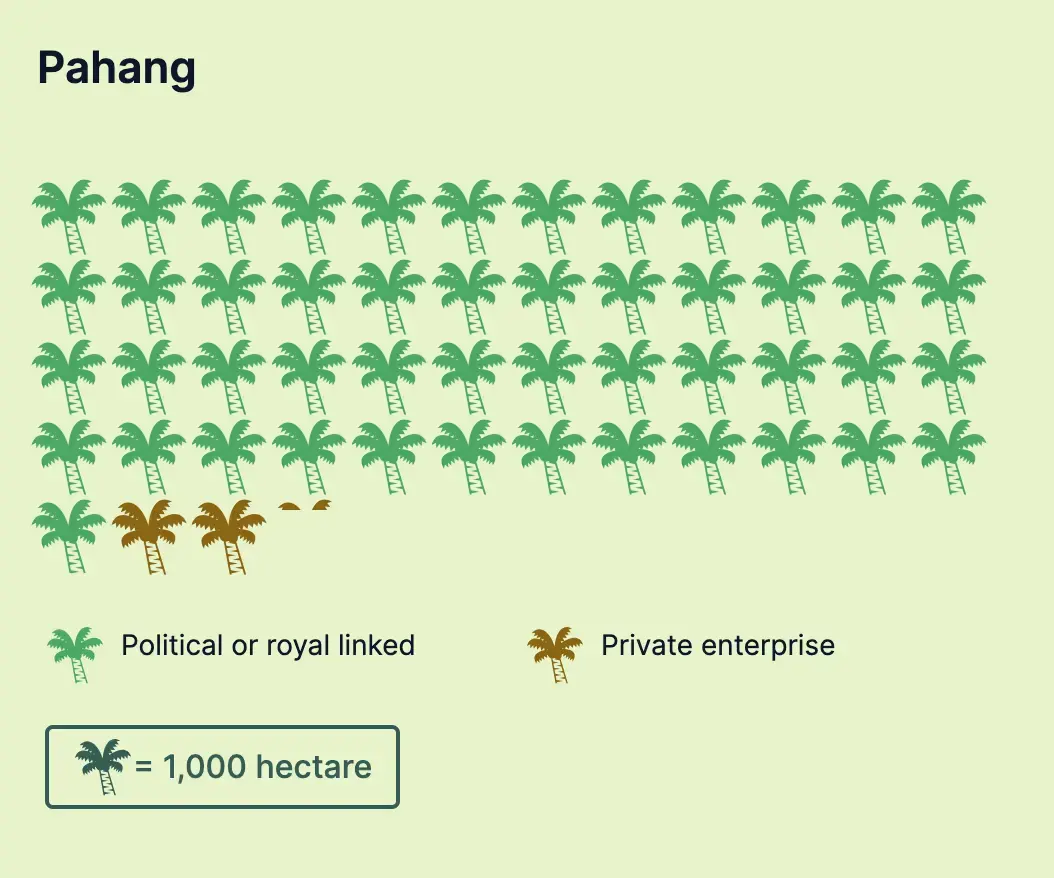 Among all the DOE approved projects in Pahang, the developers who were developing 95 percent of the land (48,945 hectares) have political or royal affiliations. Graphic: Malaysiakini