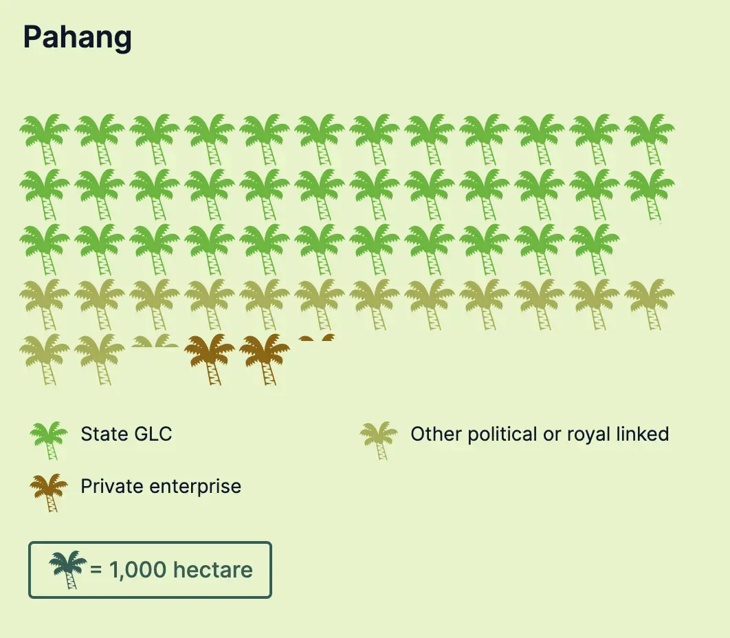 Pahang GLCs own the most land, 35,053 hectares in total. Other corporations with political or royal affiliations include federal government-linked companies, companies owned by royal family members etc. Graphic: Malaysiakini