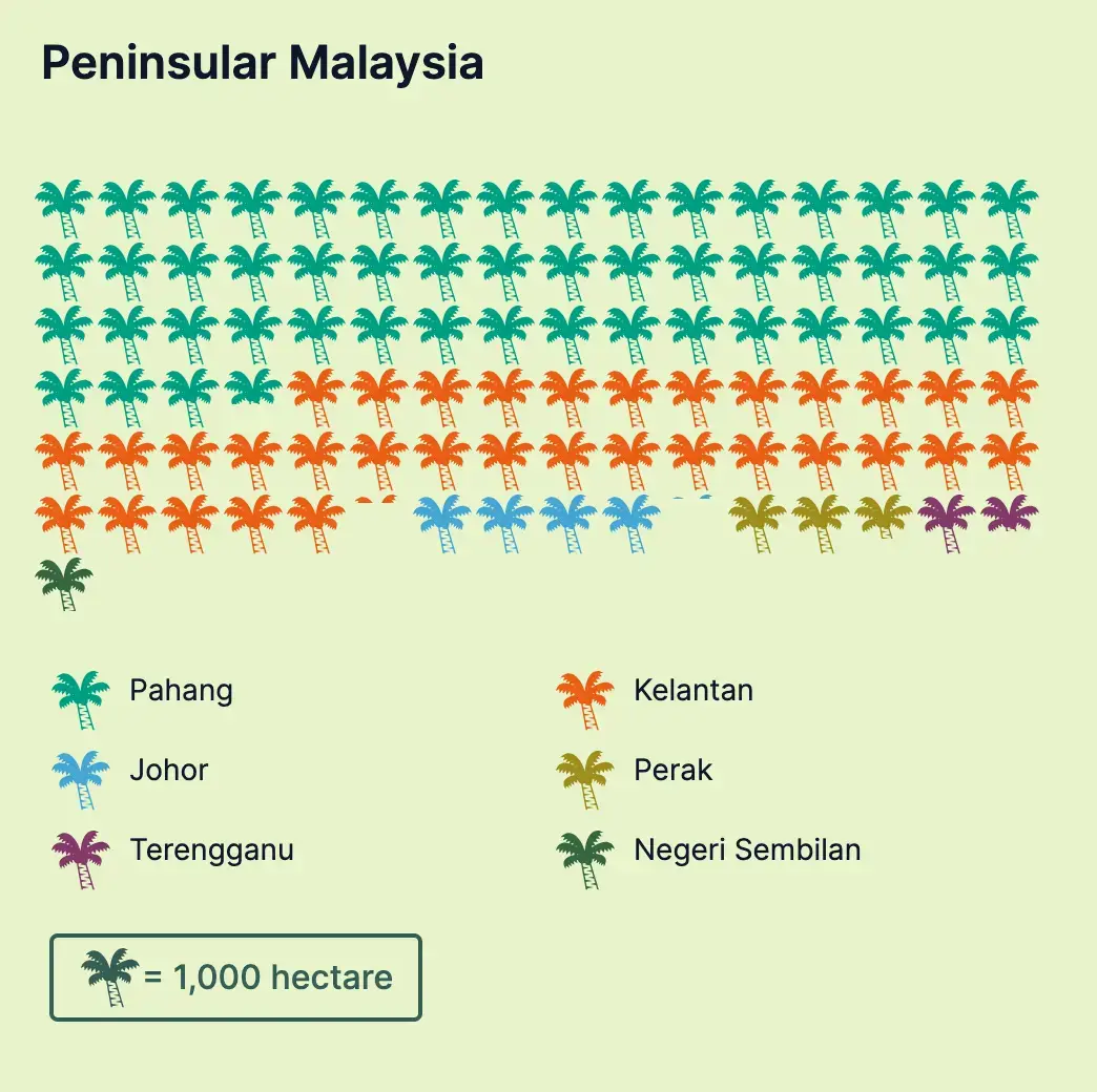 Pahang’s approved projects make up 55 percent of the total oil palm plantation area across all peninsular states. Graphic: Malaysiakini