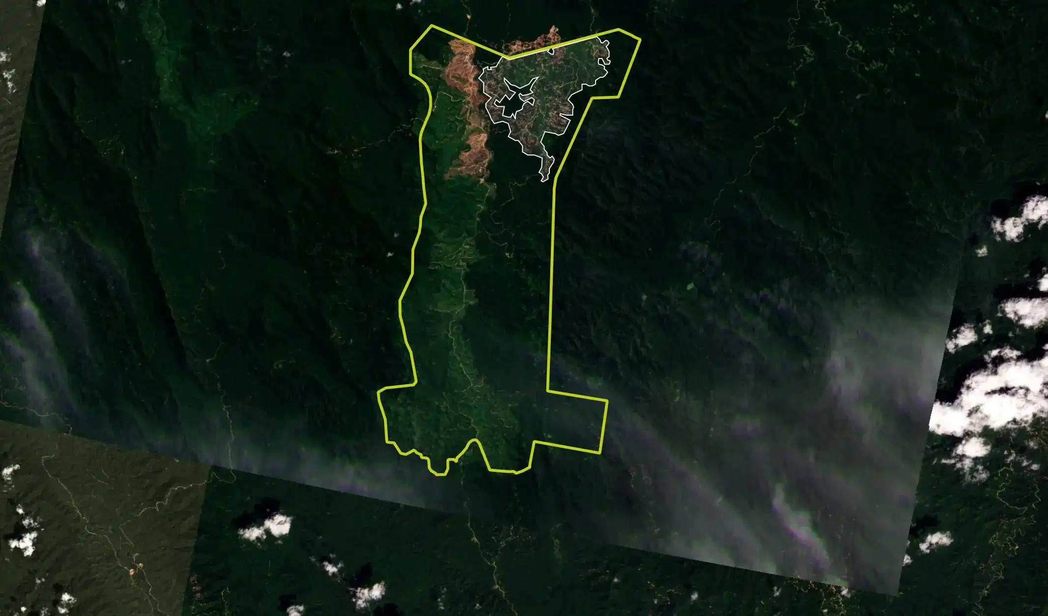 As of July 2023, mature forests in the northeastern part of the plantation are almost entirely cleared. Source: Planet Labs (15 July 2023)