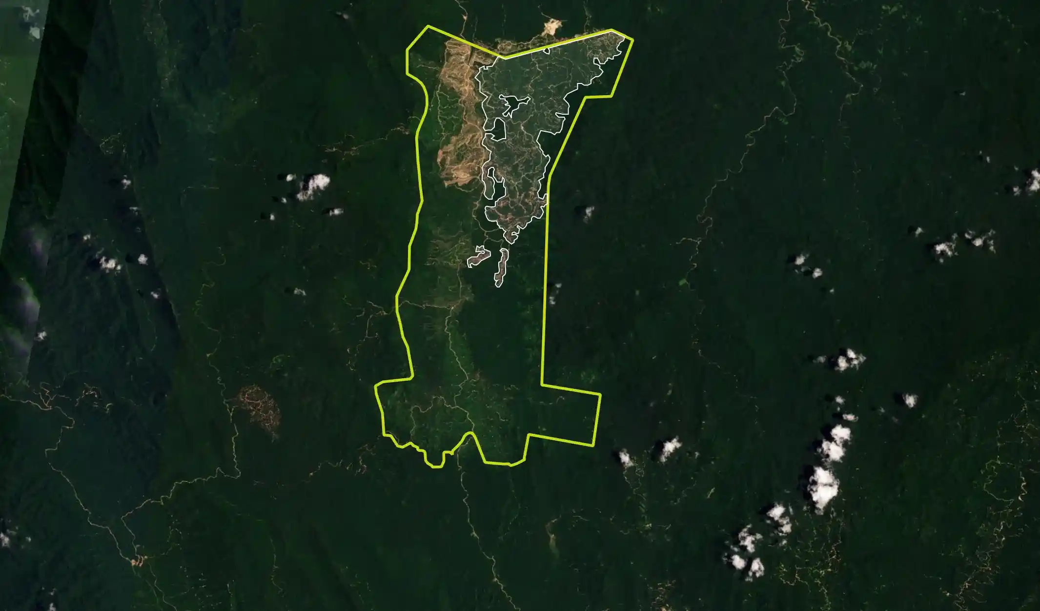 Around 539 hectares of forests were cleared after the MSPO ban. With nothing in PKNP’s way, at this rate, more than 2,000 hectares of the remaining forest lands will be gone in a matter of years - the equivalent size of 3,737 football pitches. Source: Planet Labs (24 March 2024)
