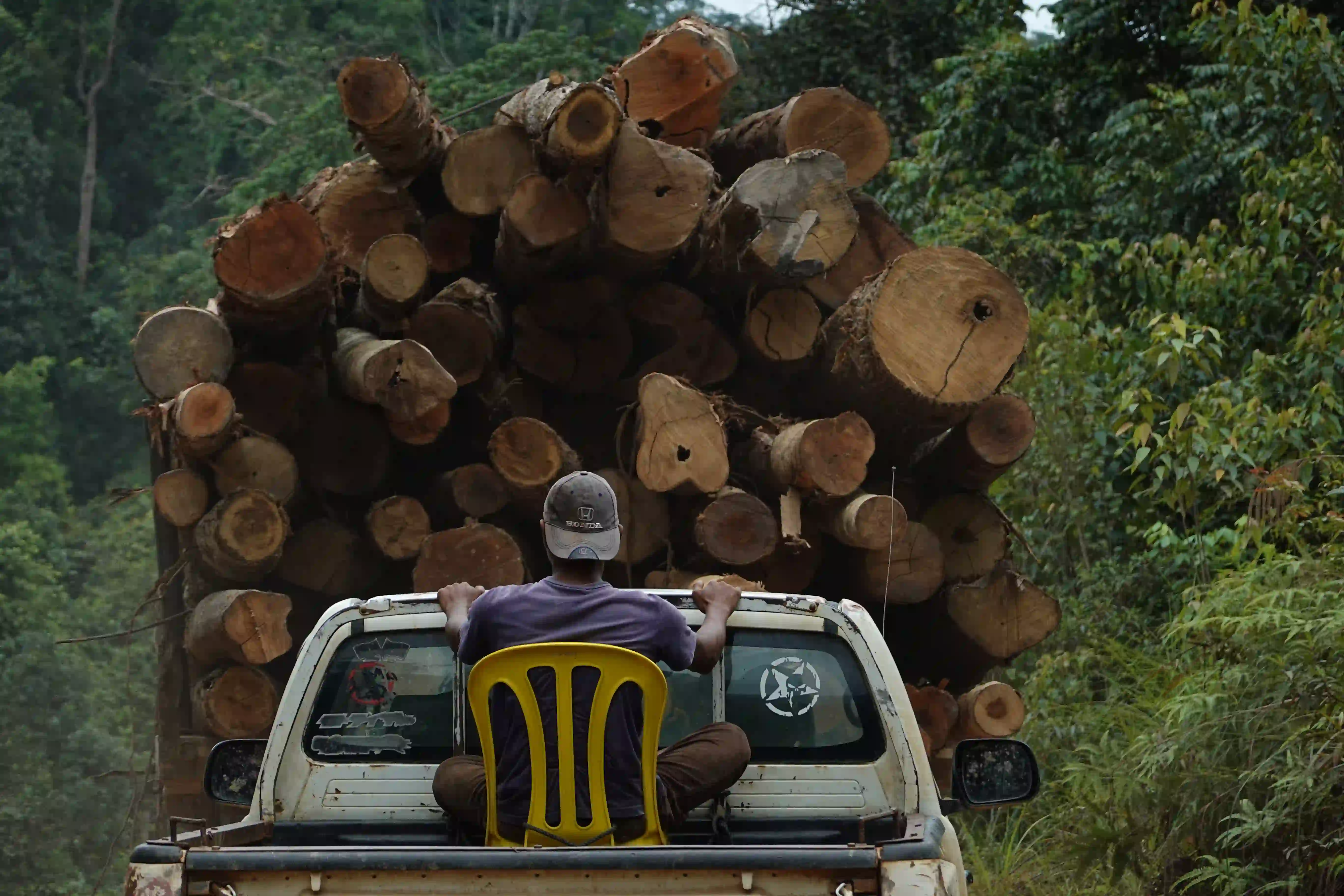Logging truck in PKNP site. Photo: Mukhriz Hazim/Malaysiakini.