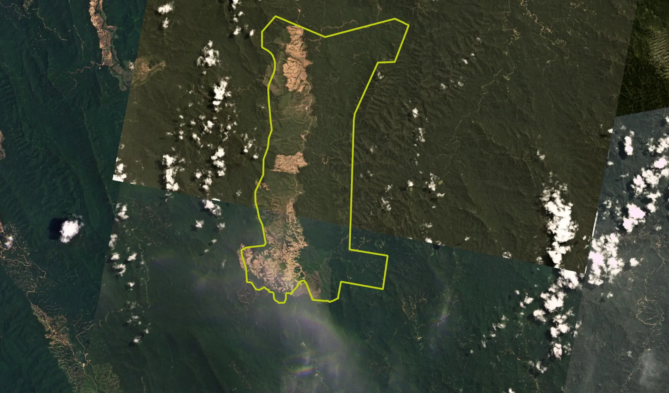 Since the establishment of the oil palm plantation, PKNP has been focused on cutting down forests and developing areas in the west. Source: Planet Labs (July 13, 2019)