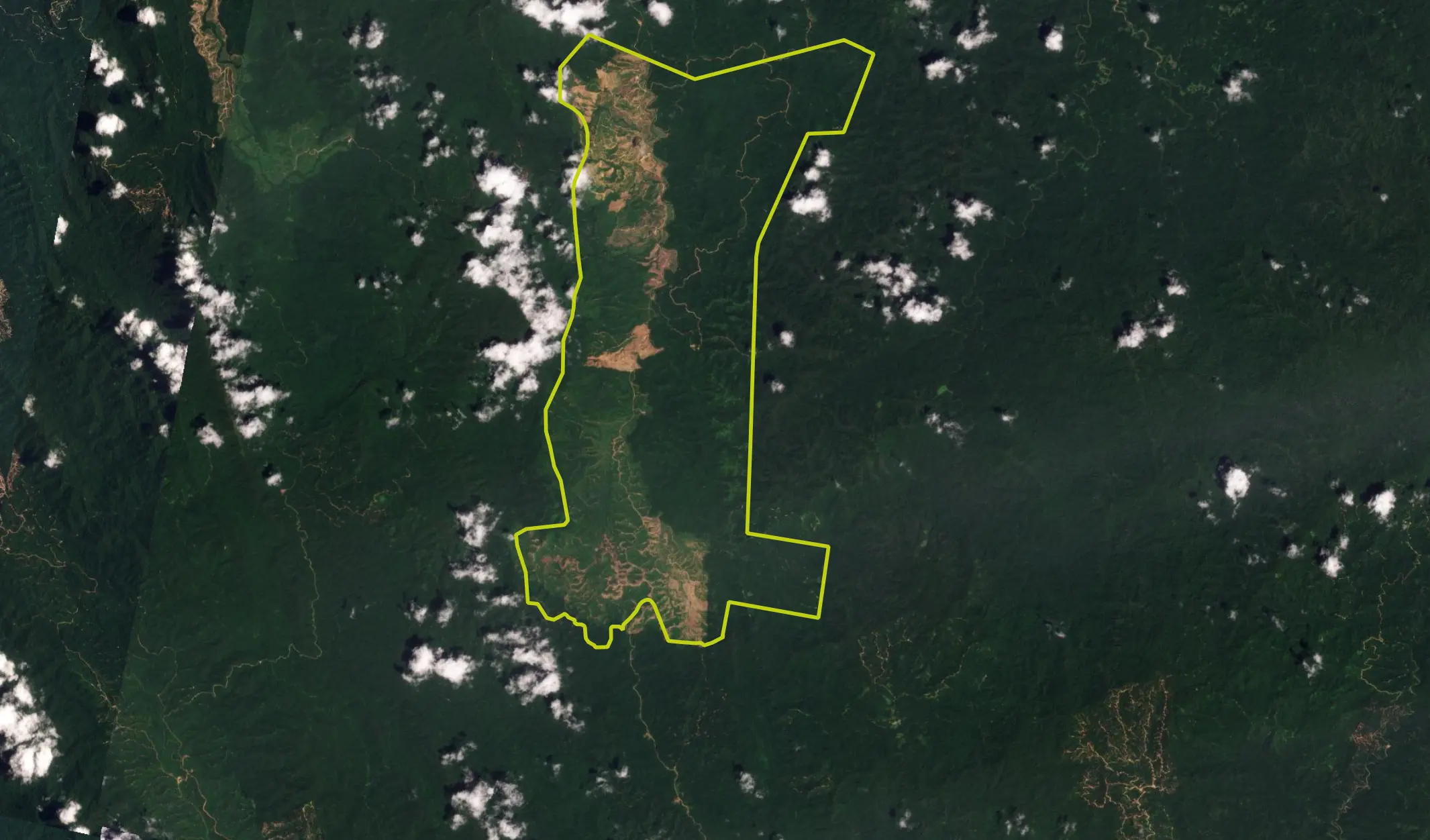 Five years since planting started, satellite images show most of the area is still bare. Source: Planet Labs (Oct 27, 2020)