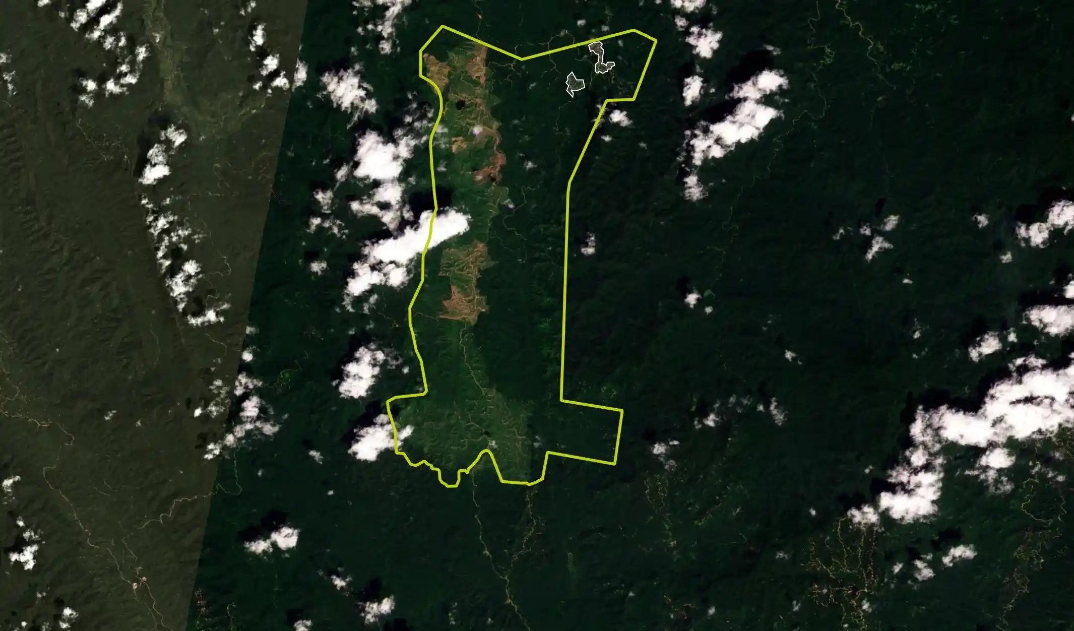 Despite the government restriction, deforestation for the PKNP plantation did not cease on Dec 31, 2019. Instead, clearing was sped up in the northeastern area. Source: Planet Labs (Aug 6, 2021)