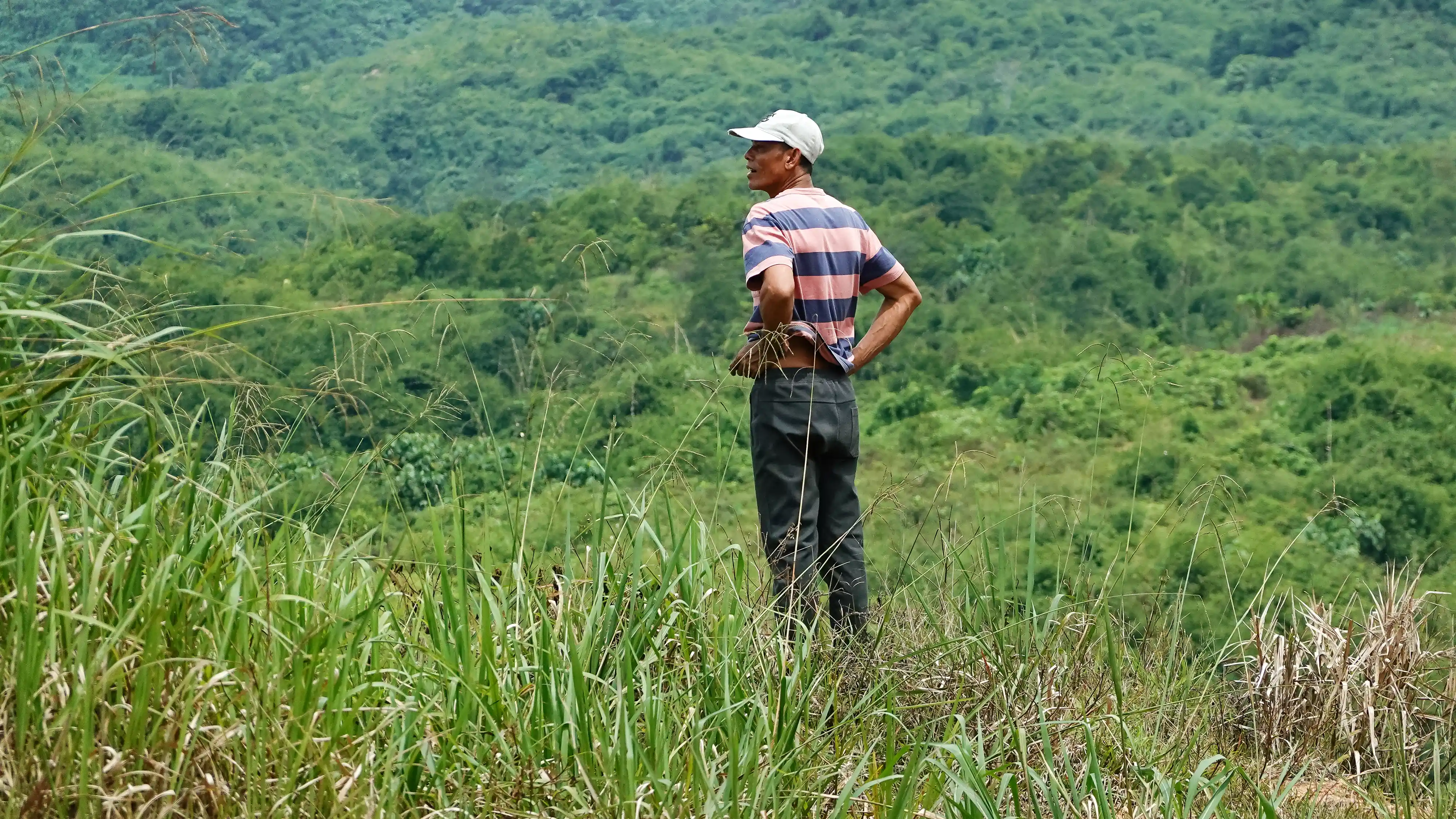 Elephant dung was found everywhere on the hillslopes, but the plantation management seems to have no intention of preventing the animals from entering. Photo: Malaysiakini
