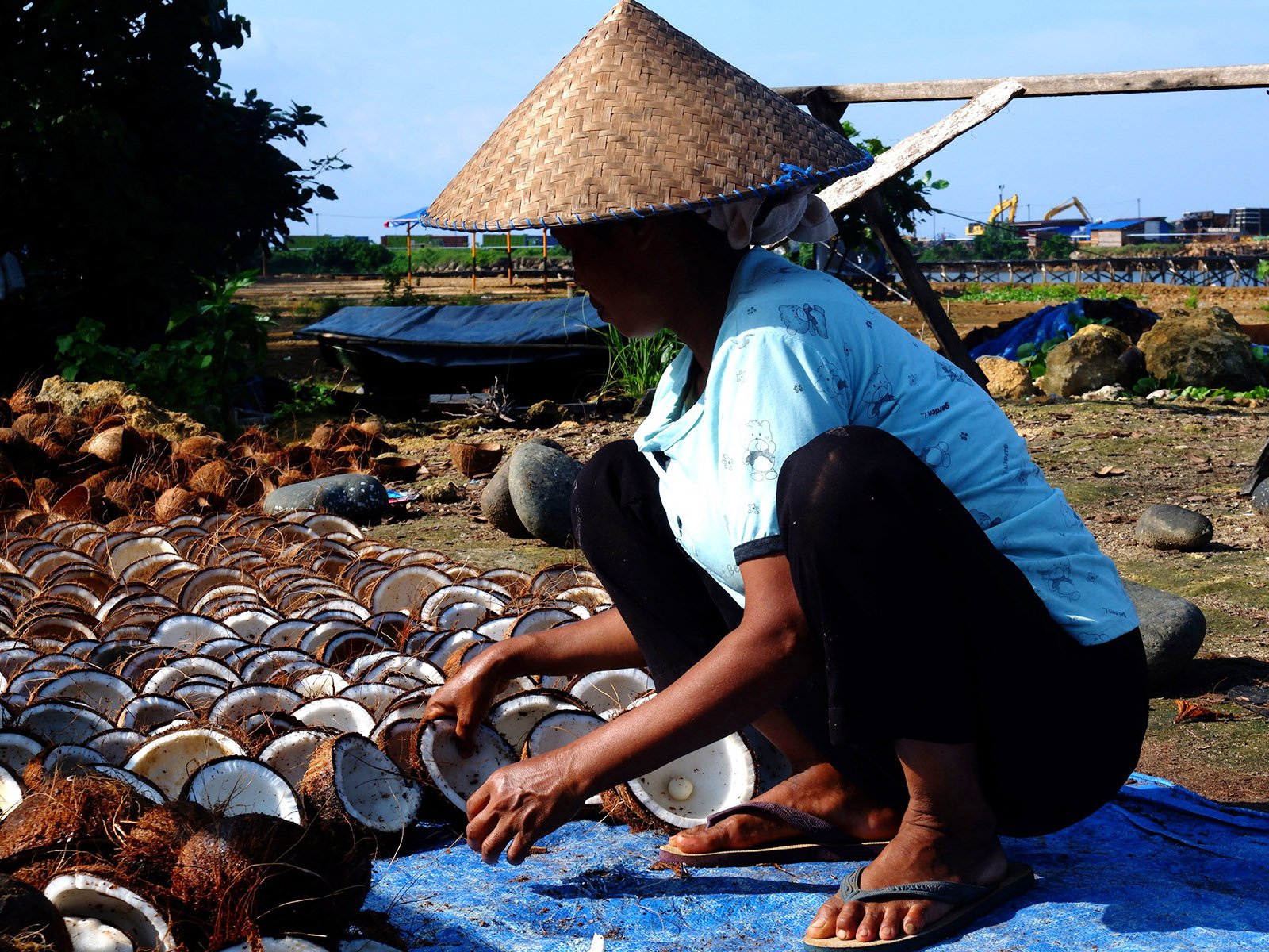 Hastati, a resident of Sukarela Jaya, dries coconuts to make copra. In the background is heavy equipment belonging to PT Gema Kreasi Perdana, a subsidiary of the Harita Group. Photo: Yuli Z./Project Multatuli