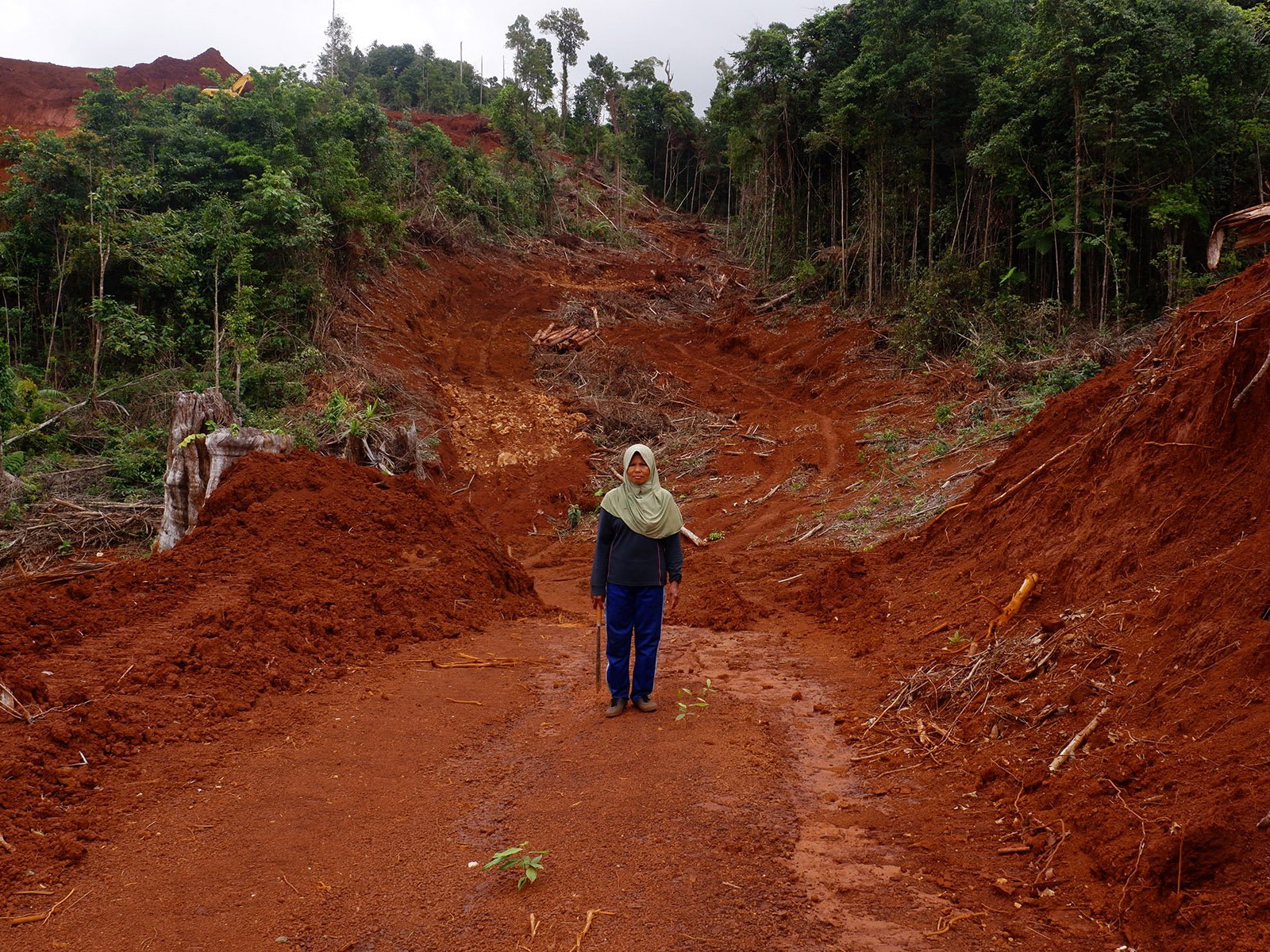 Royani, warga Desa Mosolo, berpose di lahan miliknya yang telah gundul. Sebanyak 300 pohon cengkihnya ditumbangkan. Royani masih mempertahankan lahannya agar perusahaan tidak melakukan penggalian. Photo: Yuli Z./Project Multatuli