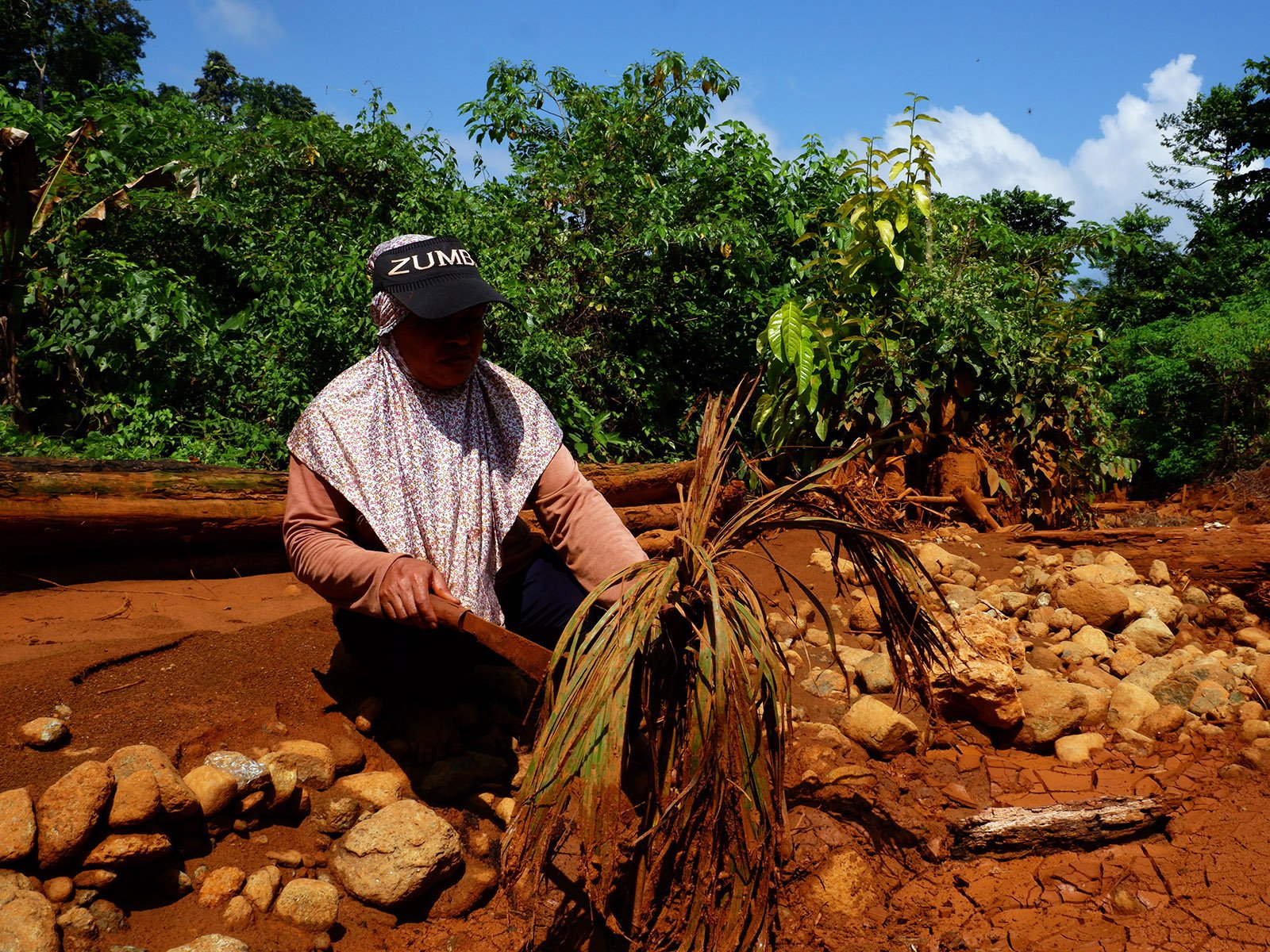 Amlia, warga Sukarela Jaya, memperlihatkan tanaman kelapa di kebunnya yang rusak terendam air berlumpur. Photo: Yuli Z./Project Multatuli