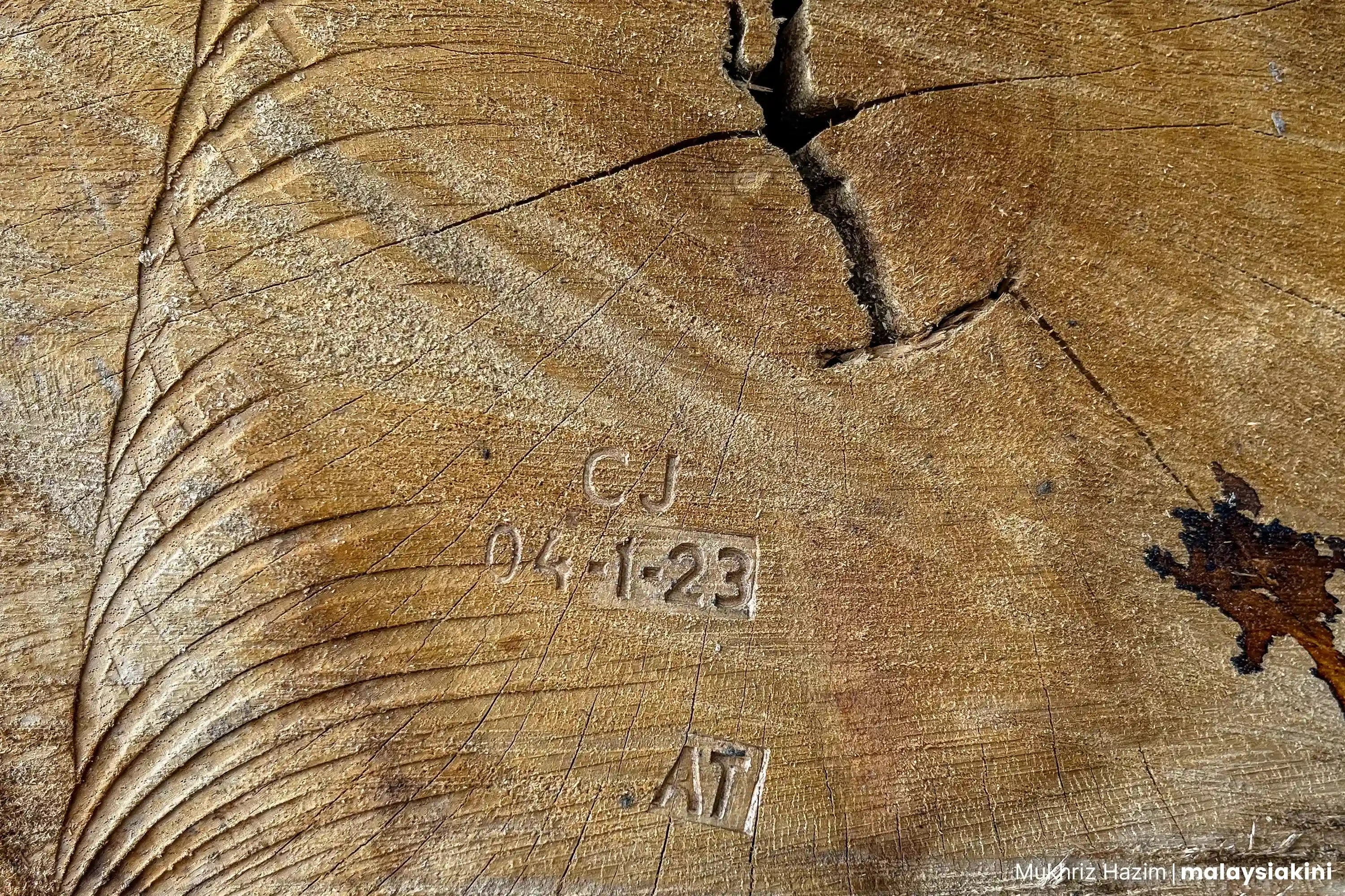 Photo: Mukhriz Hazim/Malaysiakini