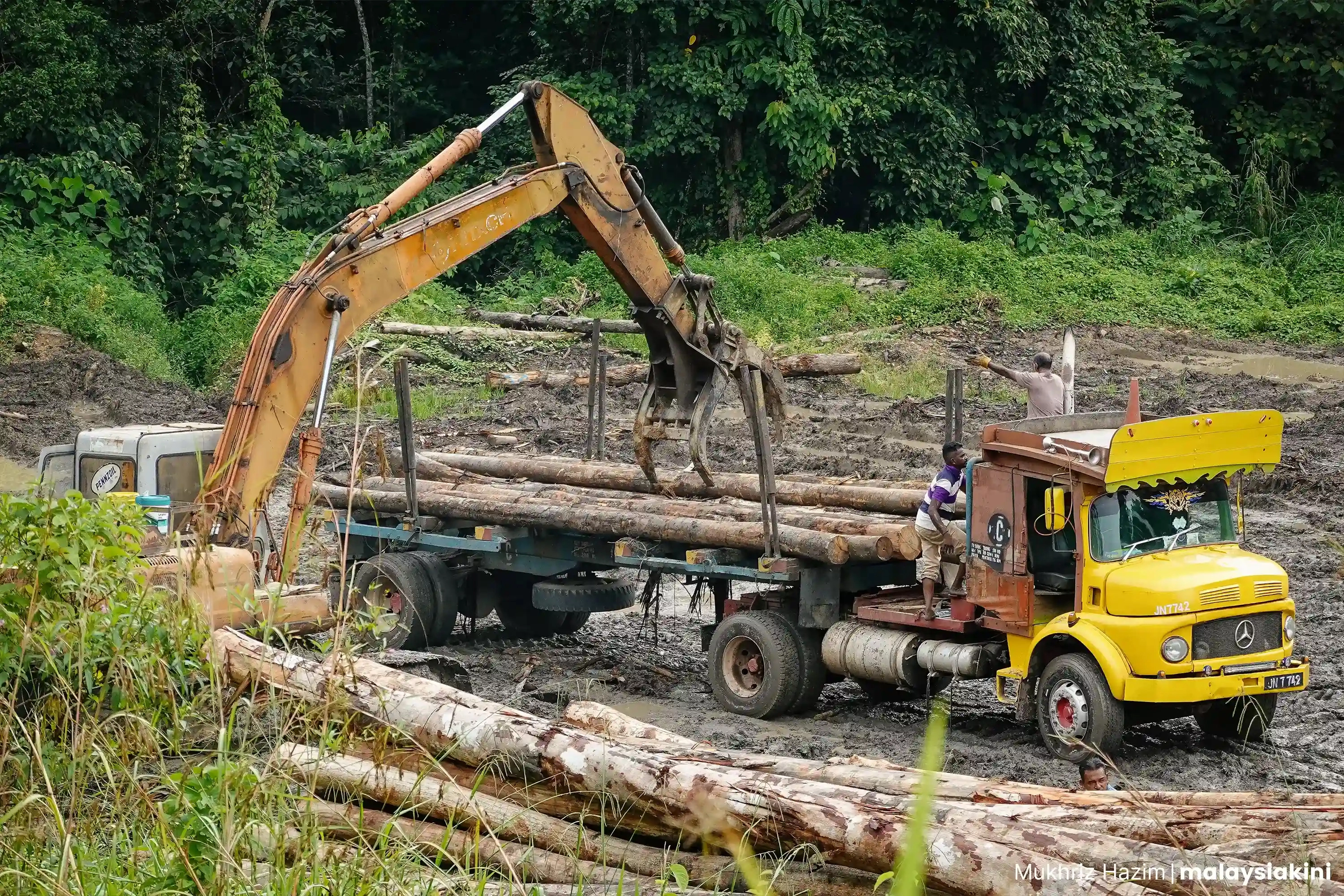 Loggers loading timbers onto trucks. Photo: Mukhriz Hazim/Malaysiakini