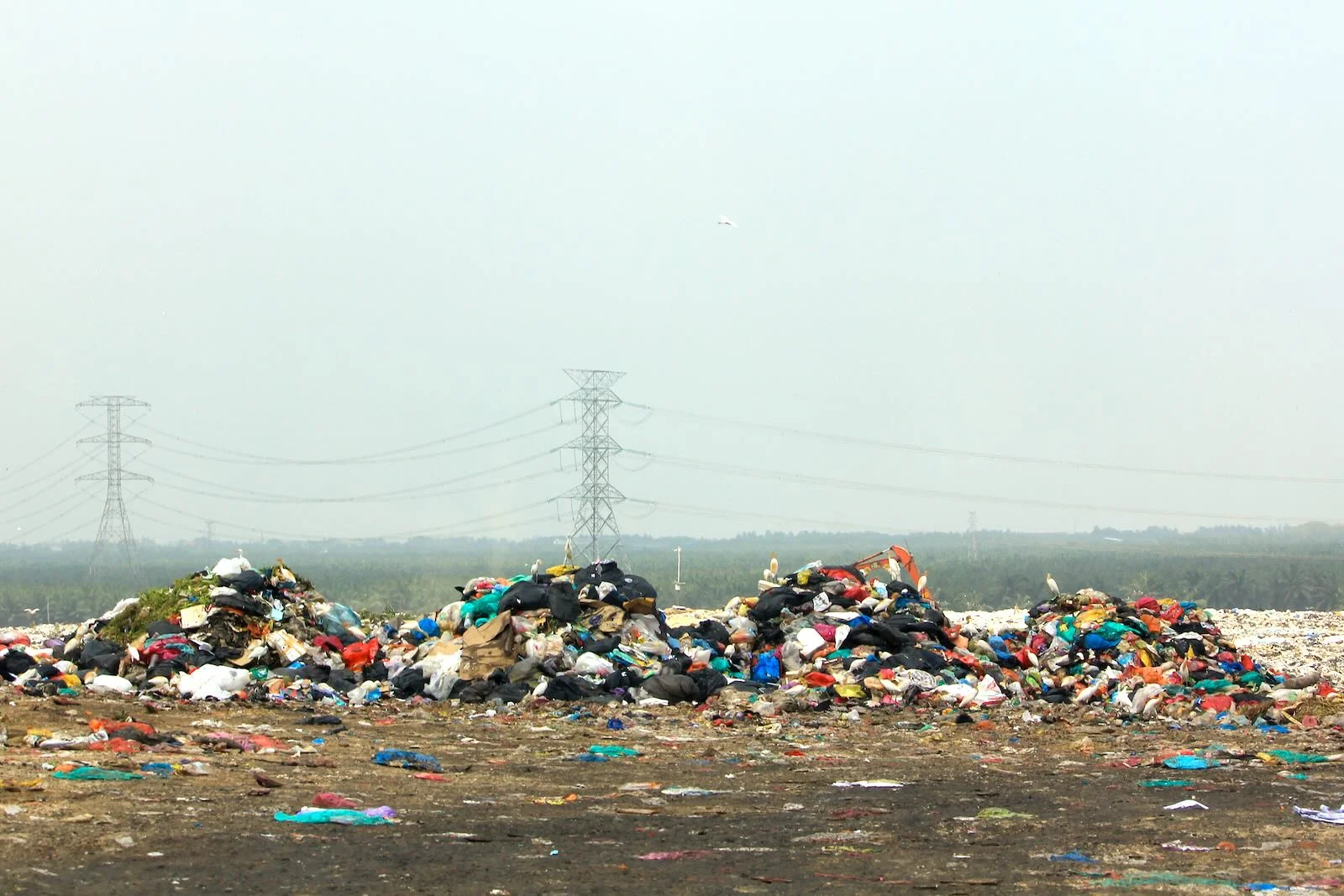 They dump 3.7 million kg of rubbish on average. Photo: Macaranga