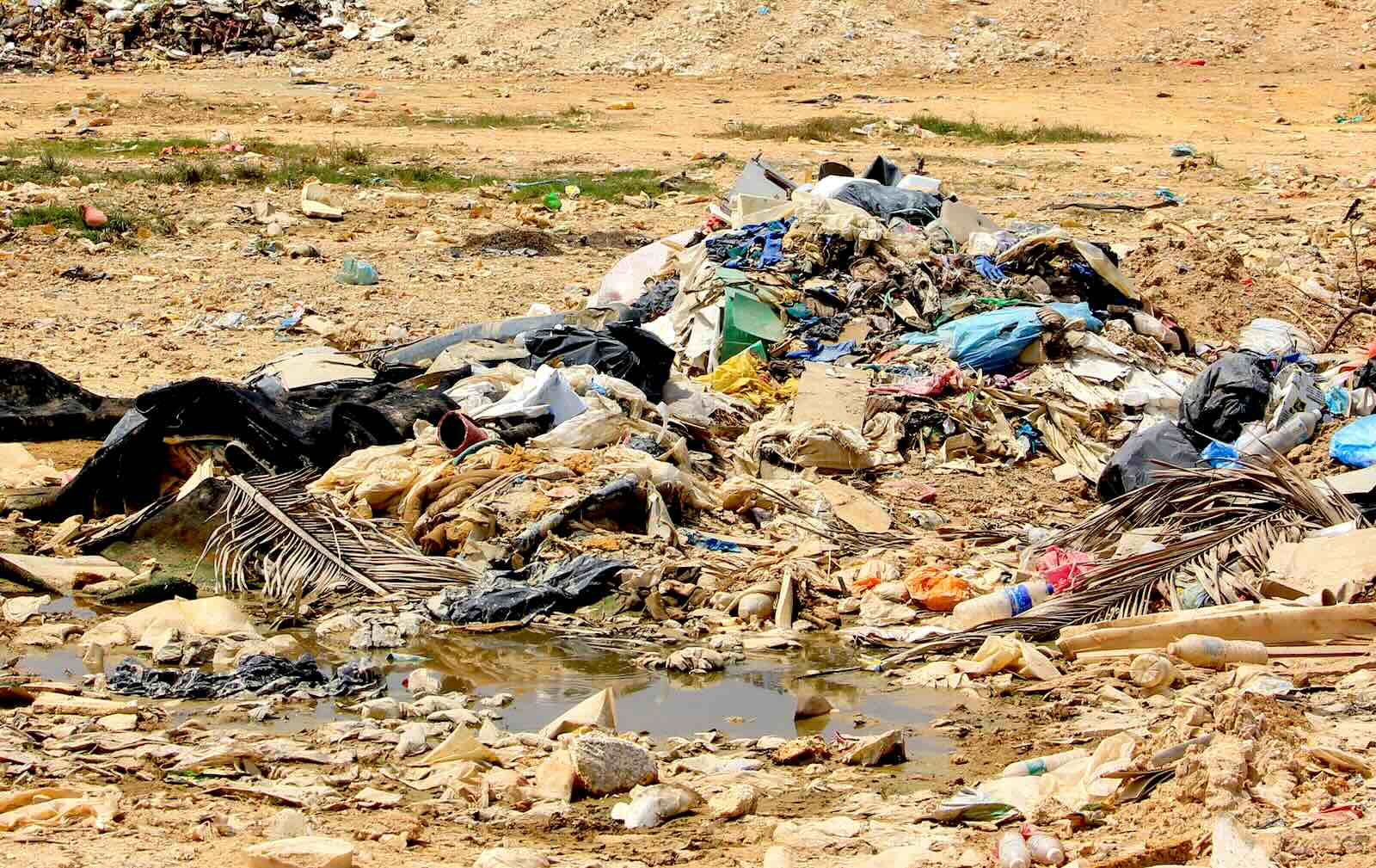 Leachate seeps out of rubbish and can contain heavy metals. Photo: Ashley Yeong/Macaranga