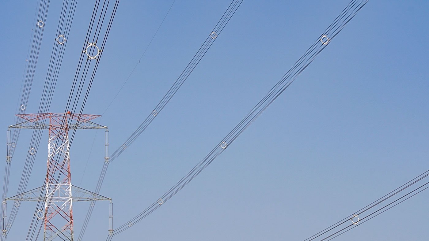 वन्यजीव जैव वैज्ञानिक सुमित डूकिया कहते हैं, ‘गोडावणों के प्राकृतिक आवासों में सरकार इतने बड़े आकार के अक्षय ऊर्जा पार्क बनाने की अनुमति क्यों दे रही है, जबकि यहां से गुज़रने वाले तारों से टकरा कर पक्षियों की मौतें हो रही हैं’. तस्वीर: ऊर्जा