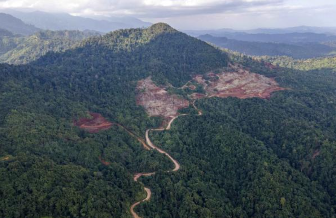 Aerial view of Bukit Tambun. Photo: Malaysiakini