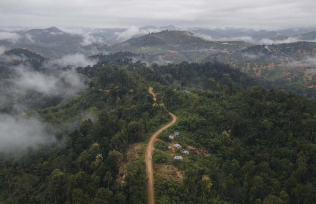Aerial view of Kampung Kelaik, Gua Musang, Kelantan. Photo: Malaysiakini