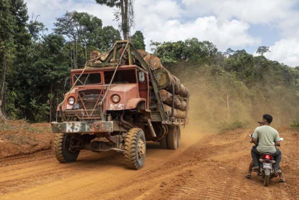 Villagers watch trucks carrying large logs pass by, leaving a dusty cloud along the trail. Photo: Malaysiakini