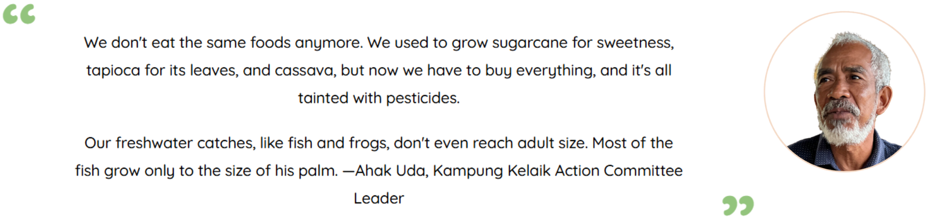 Photo and quote by Ahak Uda, Kampung Kelaik Action Committee Leader: We don't eat the same foods anymore. We used to grow sugarcane for sweetness, tapioca for its leaves, and cassava, but now we have to buy everything, and it's all tainted with pesticides. Our freshwater catches, like fish and frogs, don't even reach adult size. Most of the fish grow only to the size of his palm.
