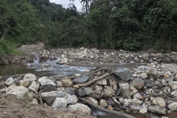 A clear stream further away from Kampung Kelaik, where the water is clear as compared to the rivers in the region. Photo: Azneal Ishak via Malaysiakini