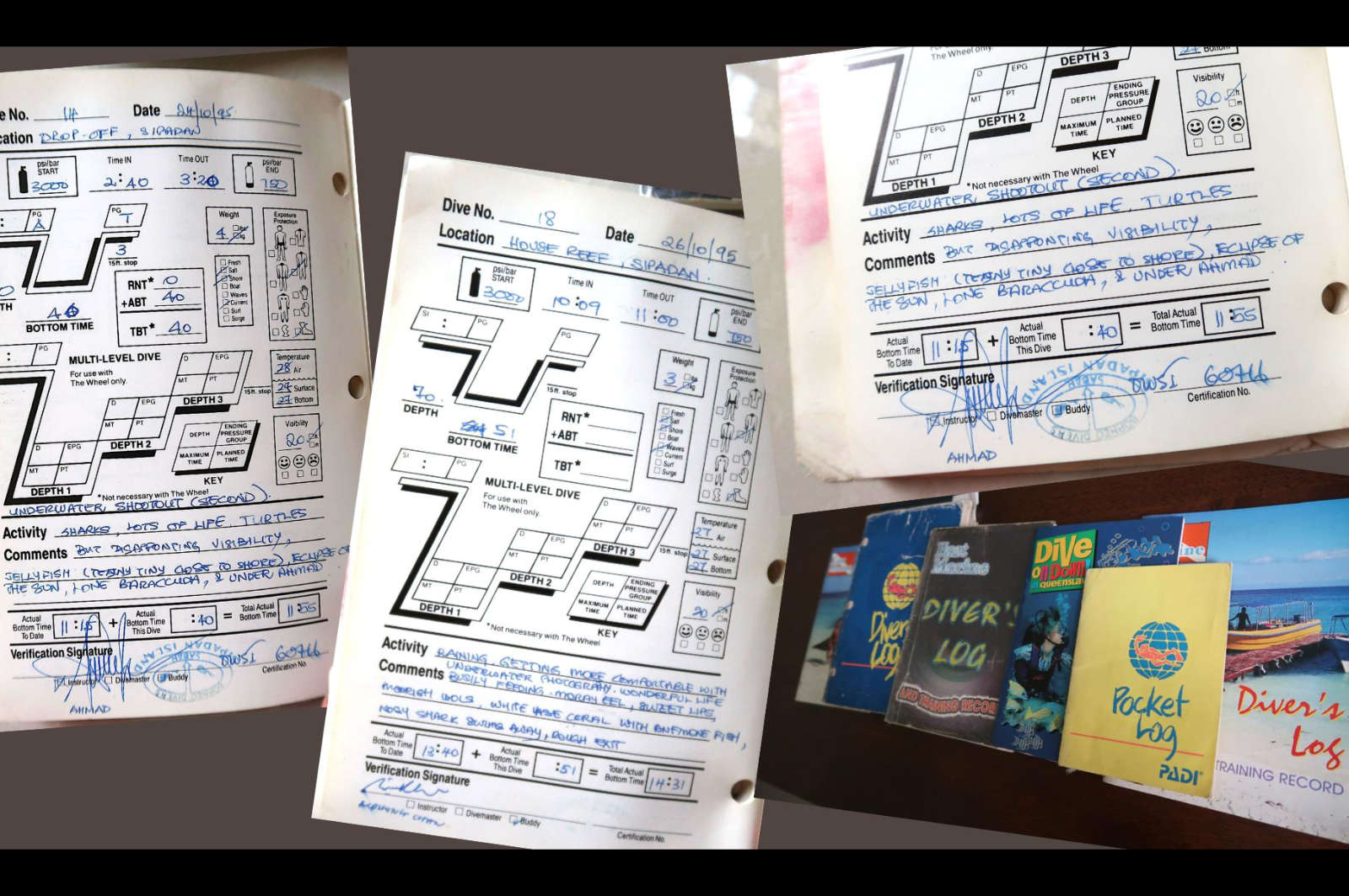 A sample of old dive log books with Sipadan entries. Photo: Sarah Irdina via Macaranga