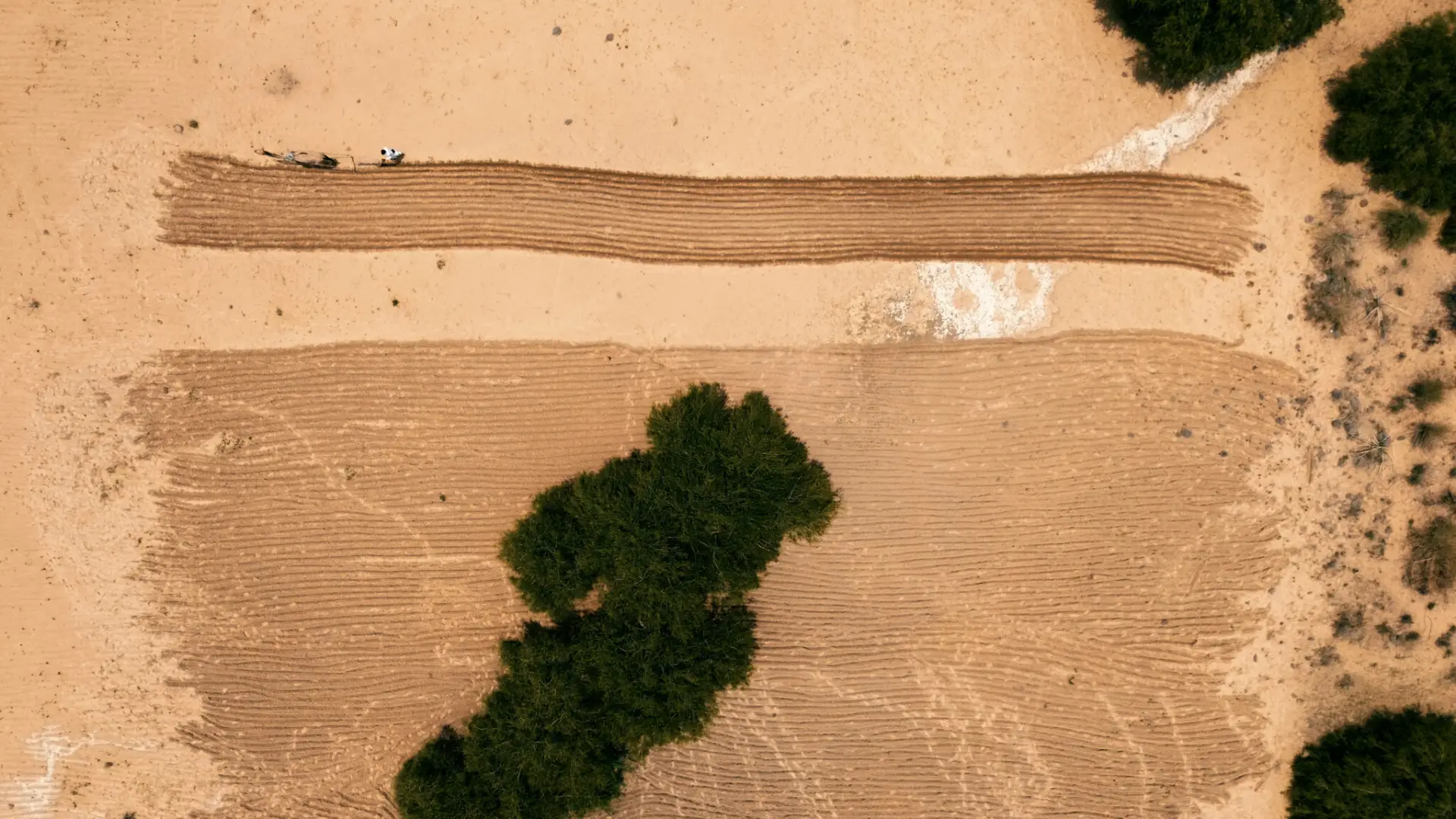 The aeral view of a man plouging the fields in the arid region of Tharparkar district of Pakistan's Sindh. Photo: Jaldeep Sarkar/Earthwise