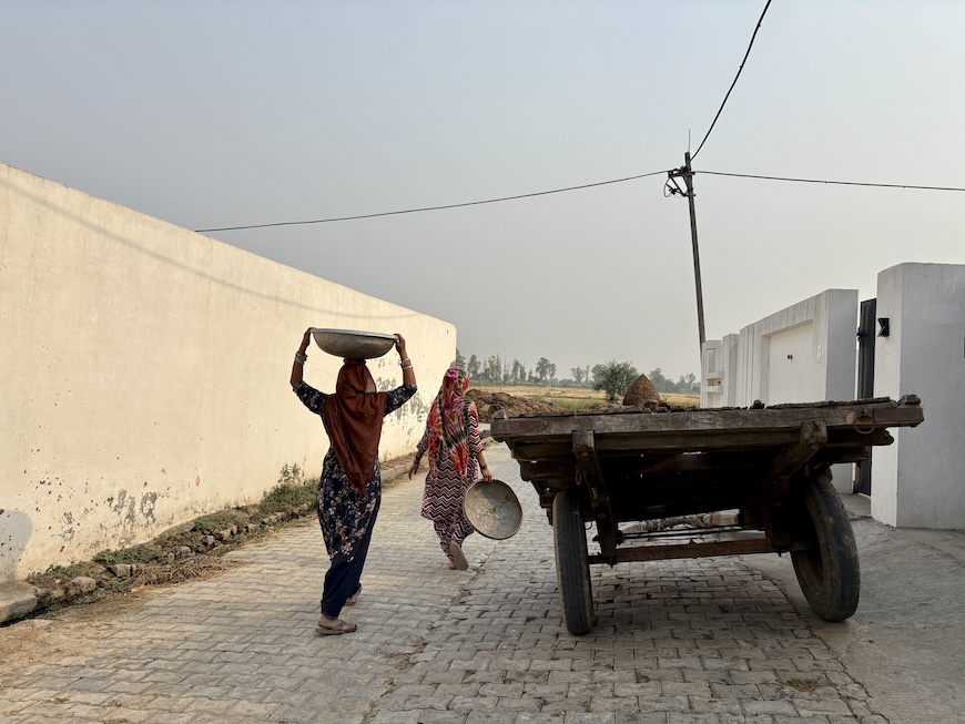 women gender immigration US india