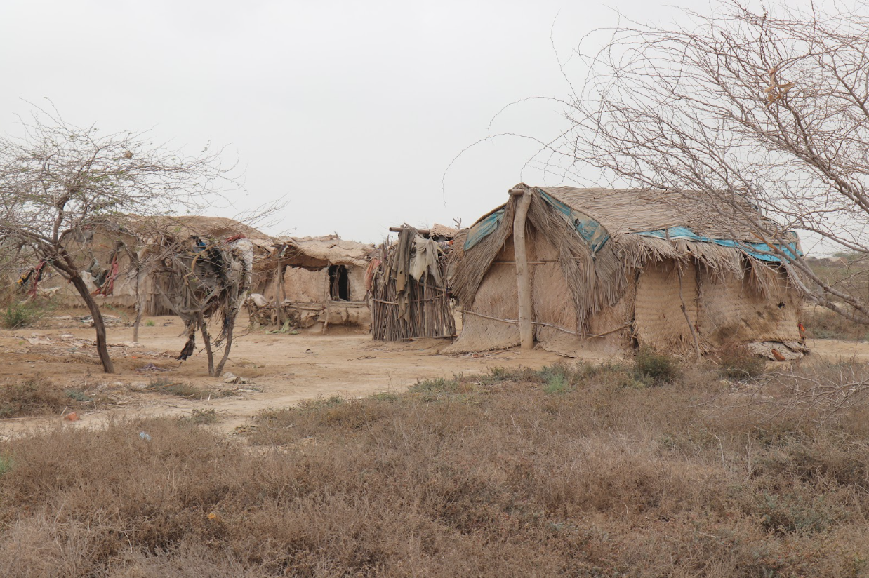 Huts of clam catchers near Bhaghan in Sindh, Pakistan. 