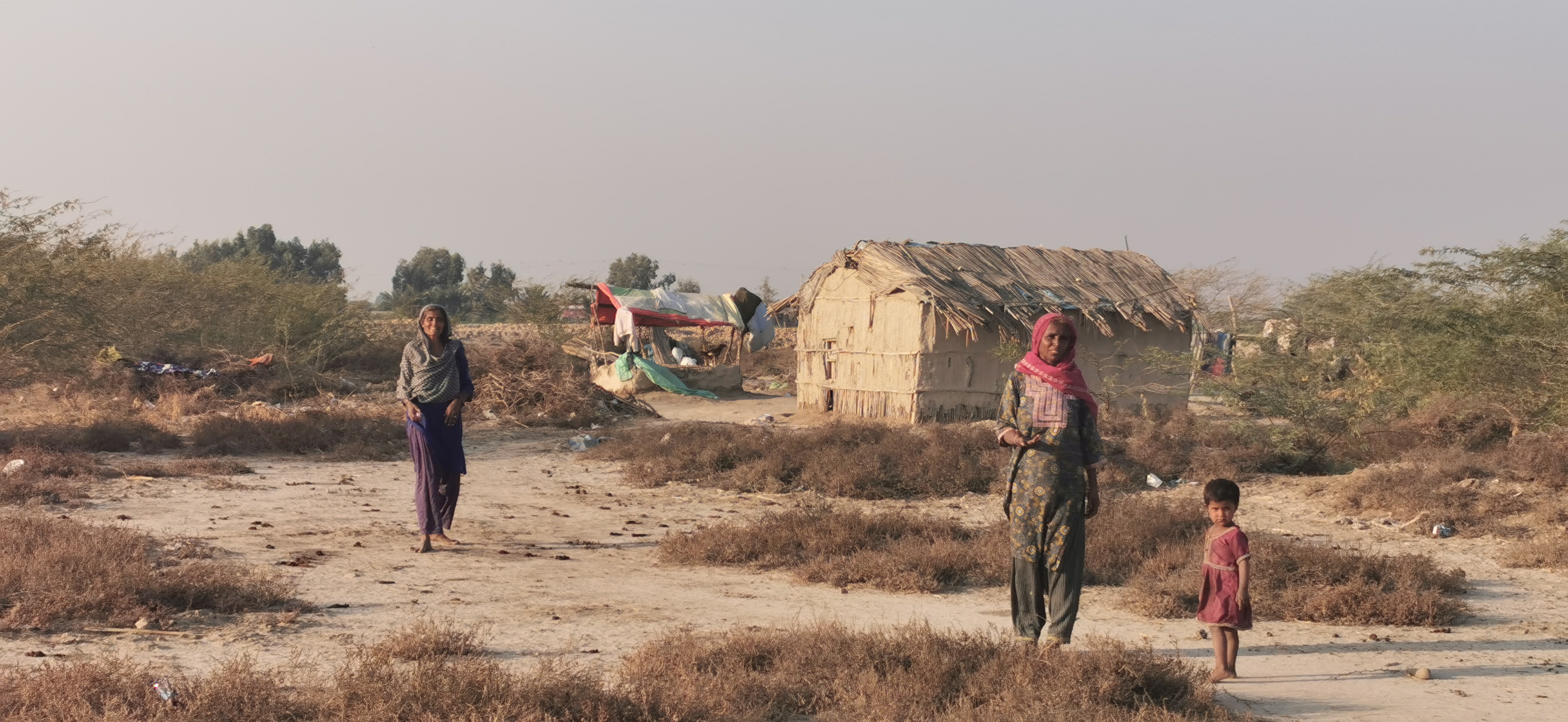 The Mallahs were once a thriving agrarian community in Sindh, but were compelled to harvest clams as the Indus Delta turned saline.