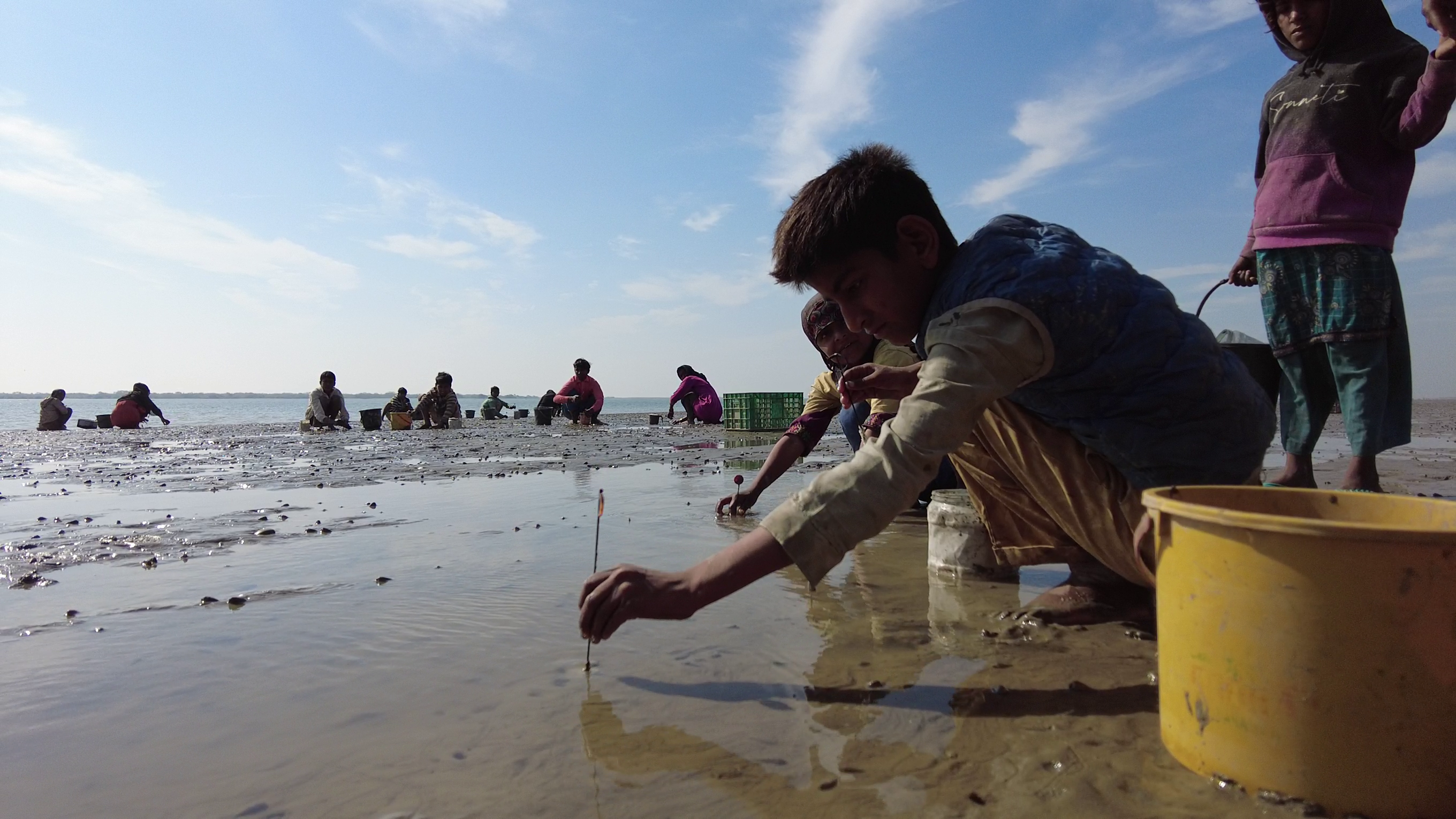 Children harvest razor clams in Pakistan’s Sindh province. Photo: Zuhaib Ahmed Pirzada