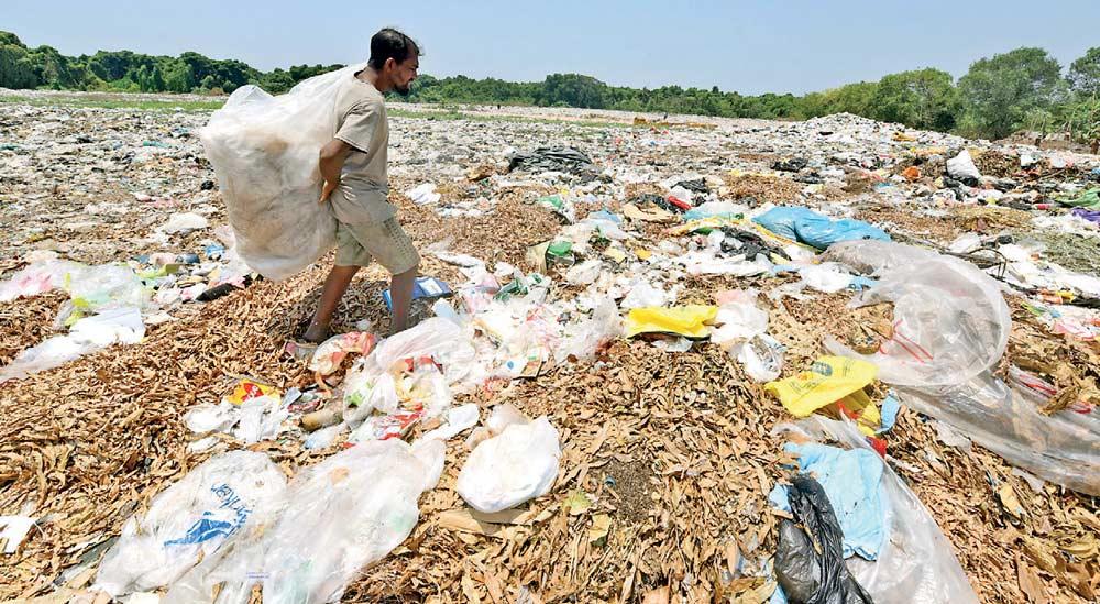 Colombo is a high risk MOH area for dengue due to the lack of a proper solid waste management system. Photo: Kithsiri de Mel