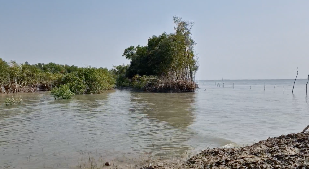 The Indian Sundarbans supports four million people, with wild fisheries providing the region’s second-largest source of jobs. Photo: Sahana Ghosh