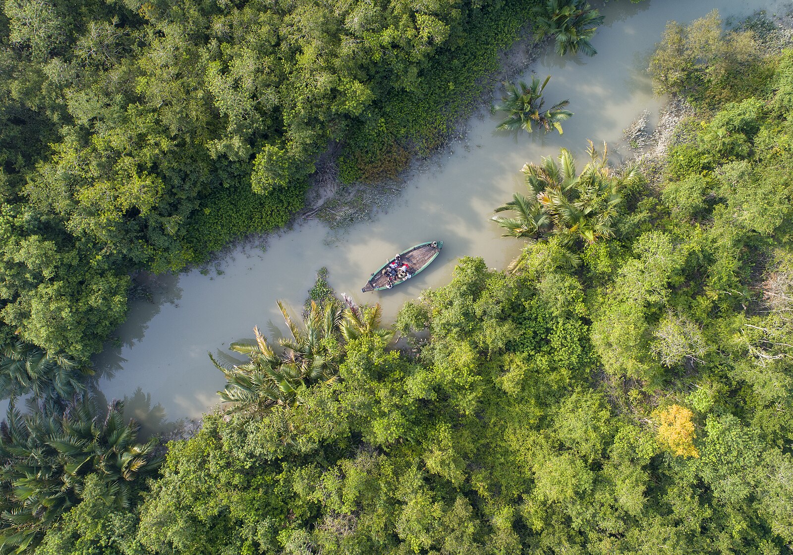 The Sundarbans in Bangladesh. Image used for representative purposes only. Photo: Wikimedia Commons