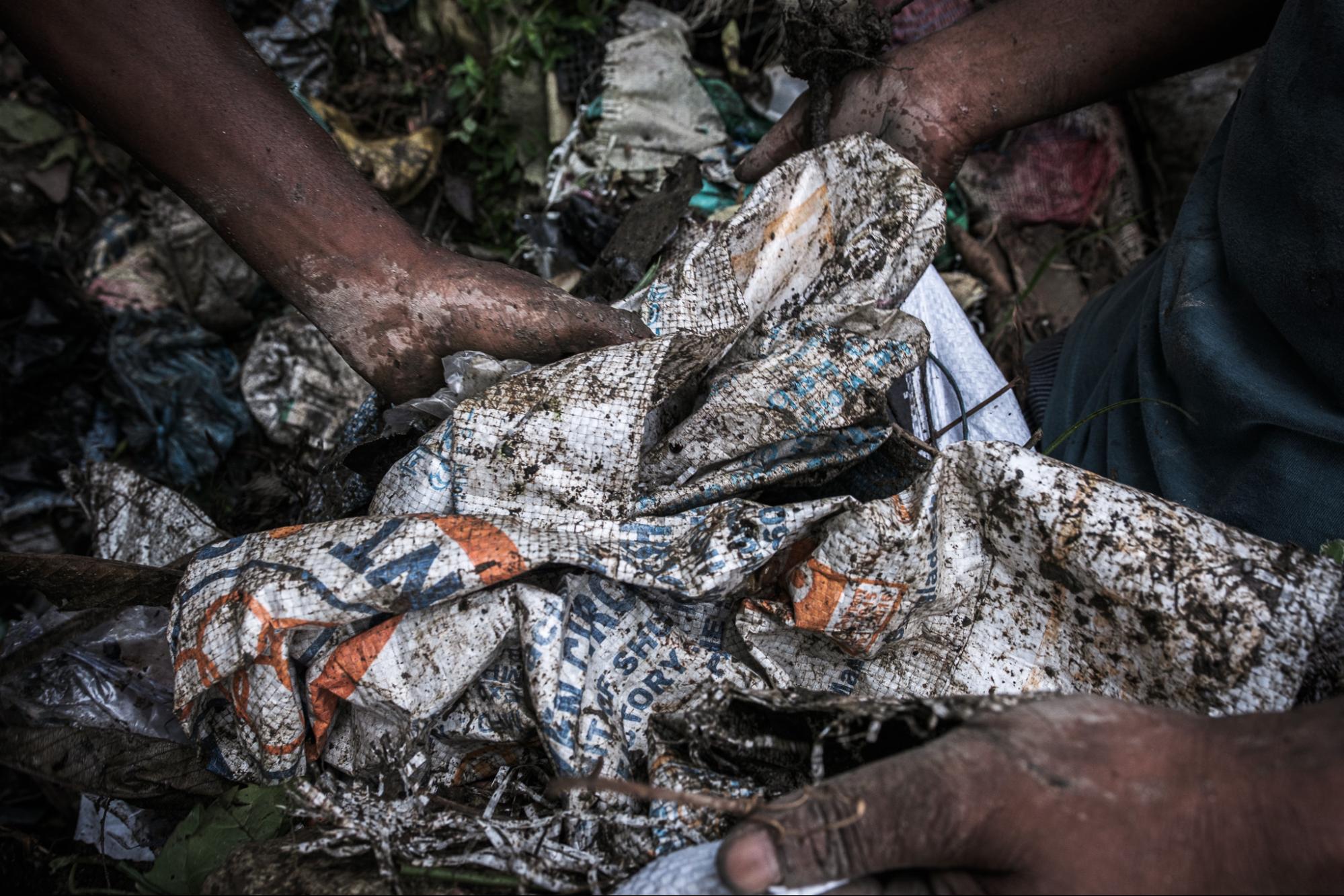 This image shows how bags are becoming a breeding place for mosquitoes.