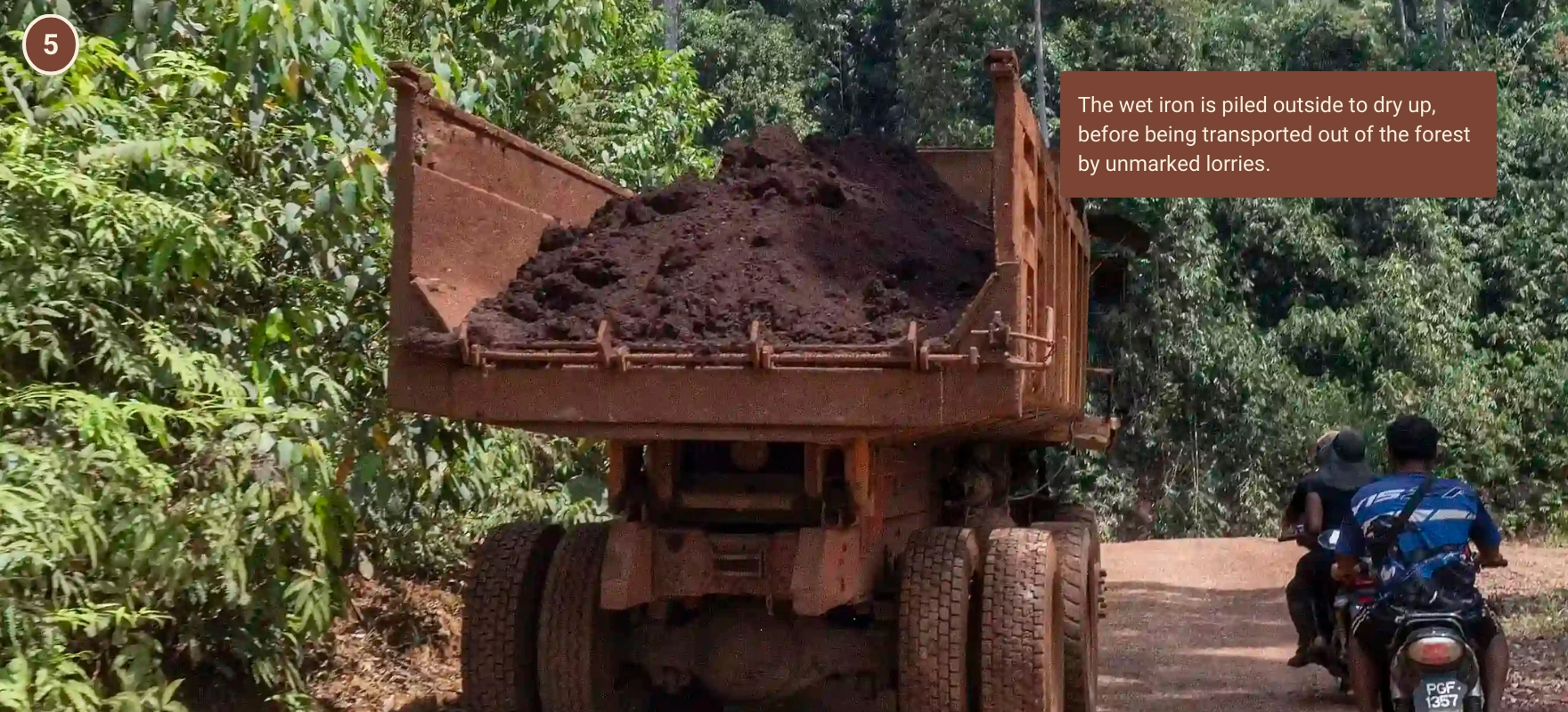 The wet iron is piled outside to dry up, before being transported out of the forest by unmarked lorries. Photo: Malaysiakini