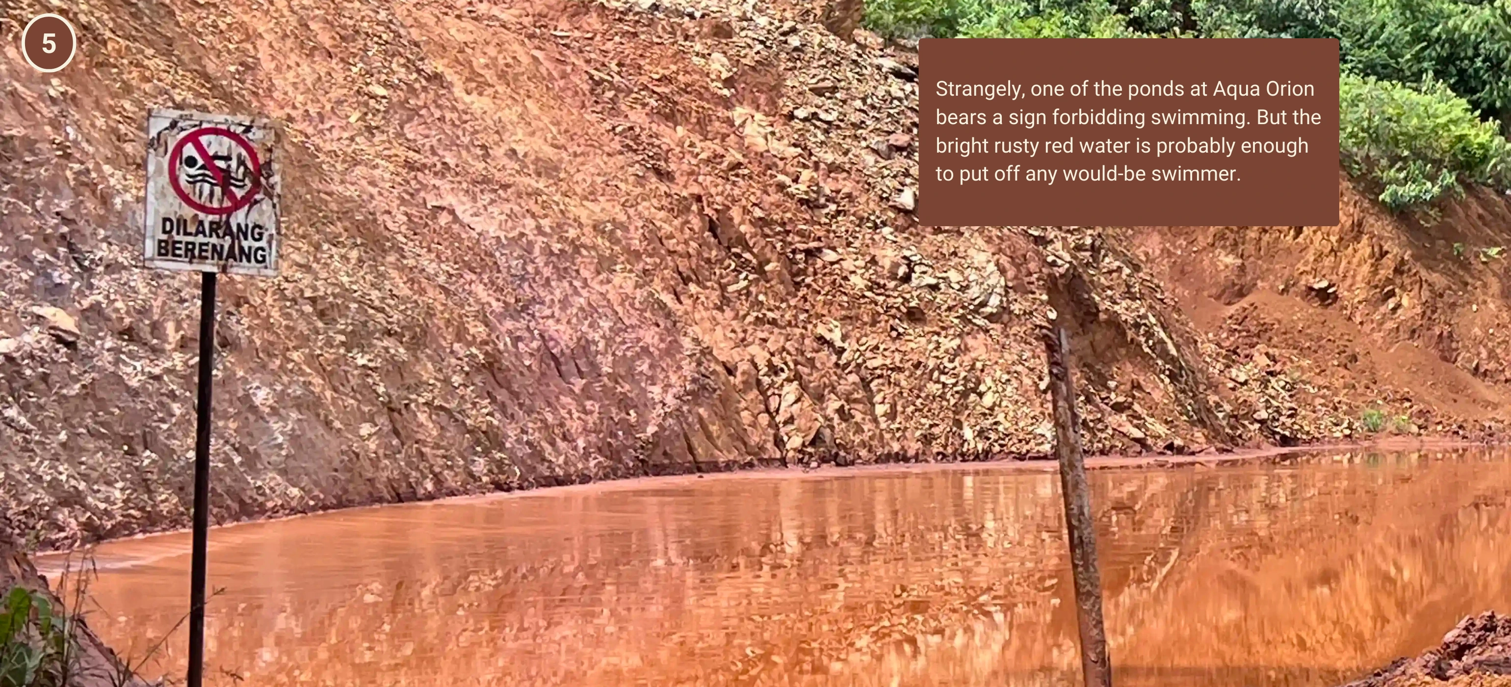 Strangely, one of the ponds at Aqua Orion bears a sign forbidding swimming. But the bright rusty red water is probably enough to put off any would-be swimmer. Photo: Malaysiakini